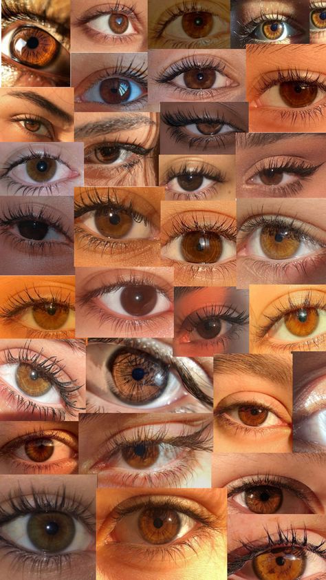 Russet Eyes Color, Ariana Core, Pretty Eyes Color, Hazel Brown Eyes, Rare Eye Colors, Brown Eyes Aesthetic, Eye Color Chart, Rare Eyes, Beautiful Eyes Color