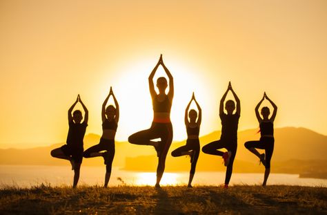 Group of children are engaged in yoga wi... | Premium Photo #Freepik #photo #people #hand #children #summer Fitness Silhouette, Early Morning Yoga, Best Yoga Retreats, Nourishing Meals, Perfect Health, World Health Day, Meditation Retreat, Yoga Retreats, Aerial Yoga