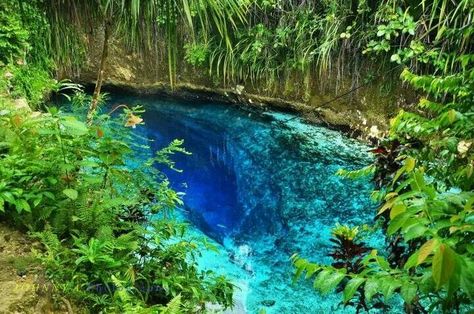 Enchanted River Surigao Del Sur, Enchanted River Philippines, Surigao Del Sur, Enchanted River, Siargao, Bodies Of Water, Gcse Art, Travel Goals, Enchanted Forest