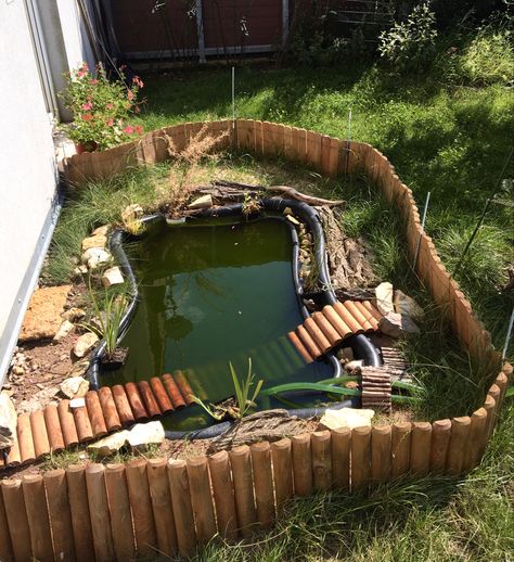 Turtle Outdoor Habitat Ideas, Turtle Backyard Habitat, Outdoor Pond For Turtles, Outside Turtle Enclosure, Turtle Stock Tank Ideas, Backyard Turtle Pond Ideas, Outdoor Water Turtle Habitat, Outdoor Aquatic Turtle Enclosure, Outside Turtle Pond