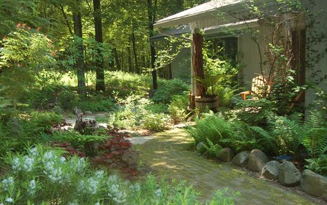 Wild Flower Garden Ideas, Pond Garden Ideas, Wild Garden Ideas, Layered Garden, Craftsman Exteriors, Native Garden Ideas, Pagoda Dogwood, Wild Flower Garden, Naturalistic Garden