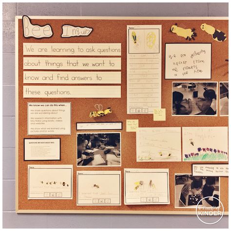 Inquiry: Bees - A Pinch of Kinder Bee Inquiry Kindergarten, Reggio Preschool Classroom, Bees Kindergarten, Bee Inquiry, Bees Project, Reggio Preschool, Kindergarten Inquiry, Bee Project, Kindergarten Bulletin Boards