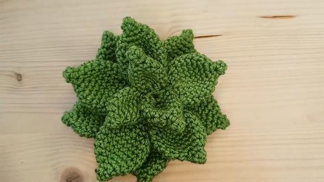 Make your own crochet succulent Plant with this easy pattern! Ideal for beginners eager to add greenery to their decor. Crochet Succulent Plant, Crochet Headband Tutorial, Crochet Succulent, Crochet Penguin, Headband Tutorial, Easy Crochet Patterns Free, Easy Crochet Stitches, Crochet Dragon, Tiny Plants