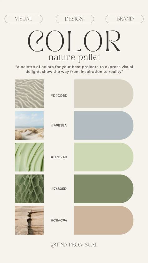 Minimalism Colour Palette, Green And White Pallet Color, Soft Tone Color Palette, Aqua Interior Design, Natural Pastel Color Palette, Color Schemes Branding, Color Palate Canva, Pale Green Palette, Bakery Moodboard Color Palettes