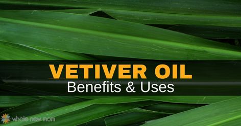 Amazing Vetiver Essential Oil Benefits and Uses - you'll be amazed at all that this fairly unknown essential oil can do! #naturalremedies Vetiver Essential Oil Uses, Oils For Scars, Acupuncture Benefits, Vetiver Oil, Vetiver Essential Oil, Essential Oil Companies, Essential Oil Jewelry, Patchouli Essential Oil, Essential Oil Benefits