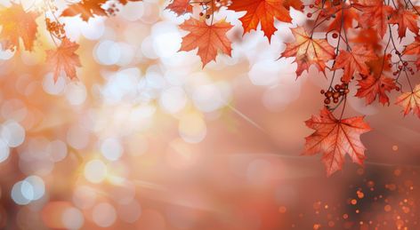 Autumn Maple Leaves With Bokeh Fall Wallpaper Horizontal, Flower Desktop Wallpaper, Tree Saw, Dating Games, Maple Leaves, Cityscape Photos, Nature Backgrounds, Fall Wallpaper, Background Banner