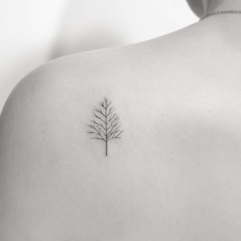 One Line Tree Tattoo, Fine Line Tattoo Tree, Line Tree Tattoo, Fine Line Tree Tattoo, Tiny Tree Tattoo, Tree Line Tattoo, Maple Tree Tattoos, Growth Tattoo, Pine Tattoo