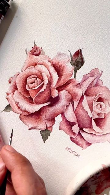 Vaibhav Tyagi on Instagram: "Vintage roses for the warm fuzzy feeling 🌹 . . Paper- @archespapers CP Paints- @sennelier1887 Brush- @silverbrushltd . . #rose #vintagerose #rosewatercolor #watercolorpainting #watercolorflowers #watercolorflorals #floralart #roses #watercolorart #watercolorillustration #aquarelle" Rose Drawing Watercolor, Rose Flower Watercolor Painting, Vintage Watercolor Paintings, Paintings Of Roses, Rose Painting Watercolor, Roses Watercolor Painting, Vintage Rose Painting, Rose Watercolour, Drawing Roses