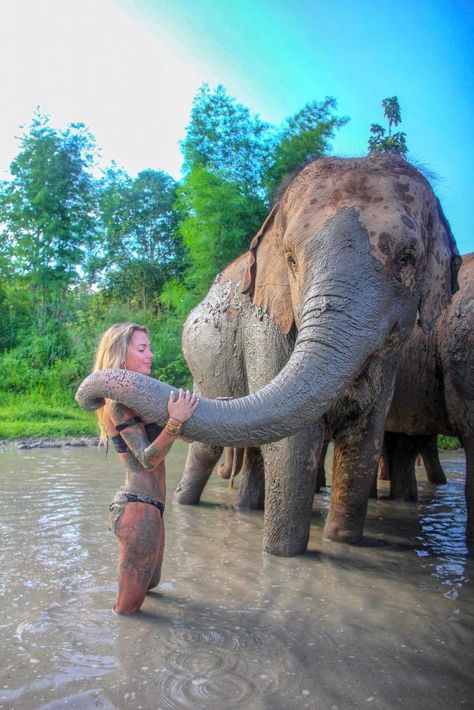 Thailand Pics, Elephant Sanctuary Thailand, Thailand Tips, Thailand Bucket List, Thailand Places, Thailand Destinations, Two Elephants, Thailand Photography, Lists Ideas