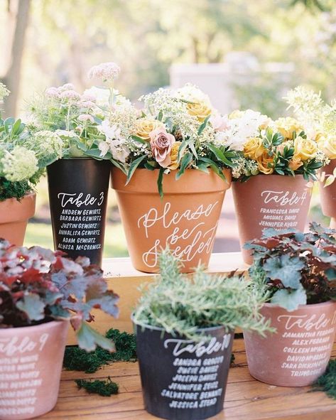 7 Creative Ways To Use Potted Plants In Your Wedding Decor Plant Seating Chart Wedding, Flower Pot Seating Chart, Plant Seating Chart, Calabria Wedding, Wedding Plants Decor, Card Displays, Hydrangea Colors, Card Table Wedding, Reception Signs