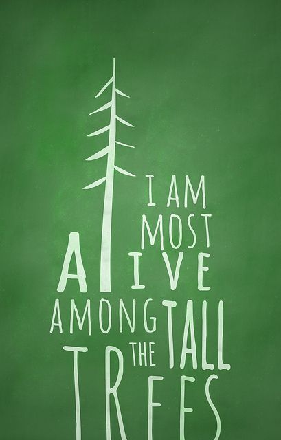 ALIVE AMONG THE TALL TREES by matt edward, via Flickr Kahlil Gibran, Tall Trees, Nature Quotes, The Words, Beautiful Words, Mantra, Inspire Me, Wise Words, Favorite Quotes