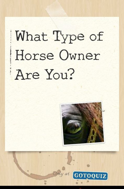 "What Type of Horse Owner Are You?" My result: Horse Whisperer Things To Know About Horses, Horse Quizzes, Horse Suit, What Horse Breed Am I Quiz, Horse Facts Interesting, Horse Obstacles, Horse Age, Horse Whisperer, Describe Your Personality