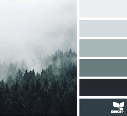 color fog | design seeds | Bloglovin Seeds Color, Foggy Forest, Design Seeds, The Fog, Gray Design, Living Room Colors, Paint Schemes, Green Design, Bedroom Colors