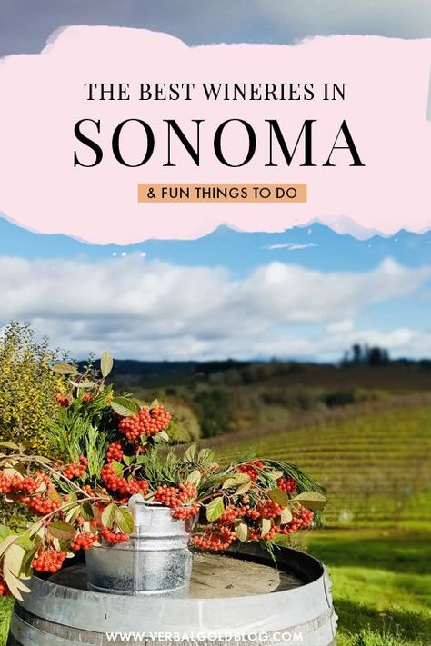 Visiting Sonoma soon? Whether you're planning a bachelorette party or visiting on a romantic getaway, these are the best Sonoma winereies you can't miss! #Sonoma #California Planning A Bachelorette Party, Sonoma Wineries, Sonoma California, Wine Tasting Experience, Wedding Spot, Hiking Destinations, Us Road Trip, Safari Tour, Wine Travel