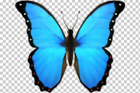 Butterfly Emoji Iphone, Iphone Emoji Download, Apple Emojis Ios Png, Iphone Emoji Png Transparent, Stiker Iphone, Ios Emoji Png, Iphone Emoji Png, Ios Png, Butterfly Emoji