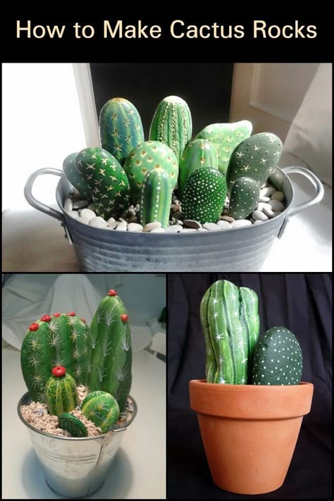 Painting With Plants, Painted Cactus Pots, How To Paint Cactus Rocks, Cactus Ideas, Painted Cactus Rocks, Cactus Rock Painting, Painted Rocks For Garden, Cactus Rock Garden, Diy Rock Painting