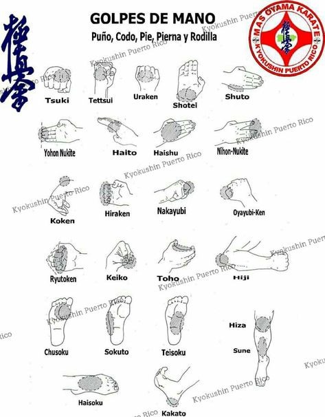 Karate Motivation, Karate Moves, Karate Kata, Karate Dojo, Filipino Martial Arts, Kyokushin Karate, Karate Martial Arts, Martial Arts Techniques, Martial Arts Styles