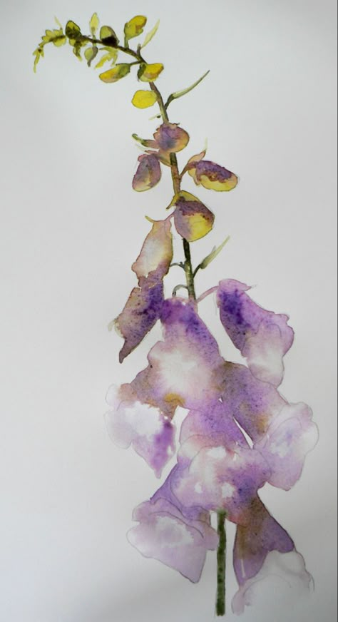 Watercolor Painting Techniques, Watercolor Flower Art, Flowers Ideas, Watercolor Flowers Paintings, Alcohol Ink Painting, Diy Watercolor, Art Courses, Floral Artwork, Easy Watercolor