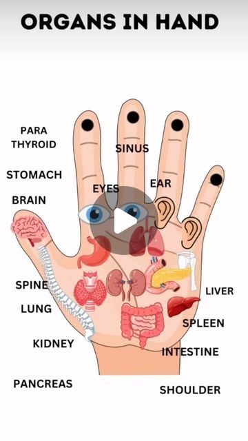 Jiya Gill on Instagram: "Acupressure points in hands" Taichi Tips, Acupressure Points In Hand, Acupressure Therapy, Complementary Medicine, Lungs Health, Hand Massage, Good Vocabulary, Kidney Health, Acupressure Points