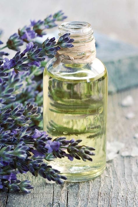 Floral Essential Oils, Homemade Essential Oils, Lavender Cottage, Lavender Farm, Lovely Lavender, French Lavender, Healing Herbs, Lavender Blue, Lavender Fields