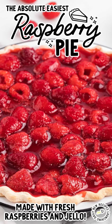 Fresh Raspberry Pie Filling Recipes, Fresh Raspberry Pie Recipe, Peach Raspberry Pie Recipes, Red Raspberry Pie Recipes, Raspberry Pie Recipe Easy, Homemade Raspberry Pie Filling, Easy Raspberry Pie, Red Raspberry Cream Pie, No Bake Raspberry Pie