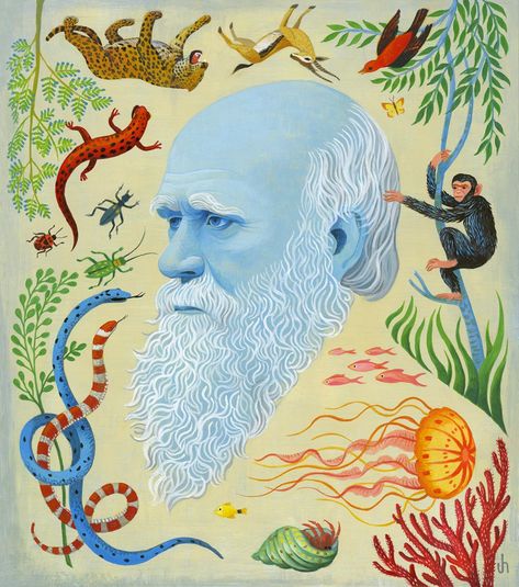 American Illustration, Communication Art, Charles Darwin, School Art Projects, Interior Design Art, Event Poster, Editorial Illustration, Caricatures, Yarn Art