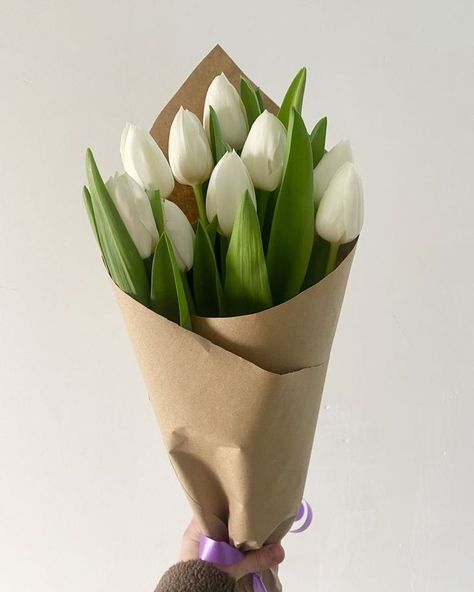 Tulip Bouquets, White Tulip Bouquet, Flower Bouquet Diy, Boquette Flowers, Tulip Bouquet, Flower Bucket, Flowers Bouquet Gift, Small Bouquet, Flower Therapy