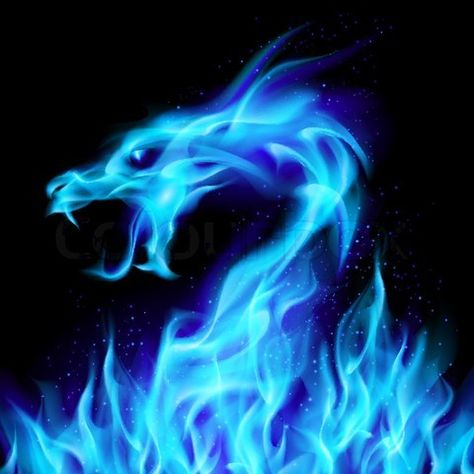 Paintings with Black Backgrounds | ... fiery dragon Illustration number two on black background for design Blue Fire Dragon, Agar.io Custom Skins, Winter Banner, Fiery Dragon, Stick Wall Art, Dragon Rise, Dragon Wall, Dragon Images, New Retro Wave