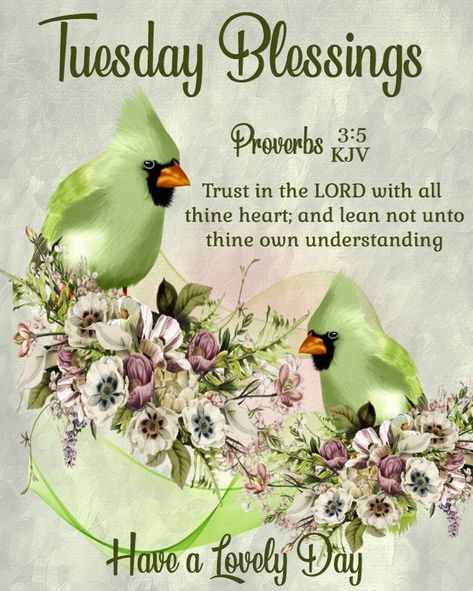 Tuesday Blessings Mornings Scripture Kjv, Tuesday Morning Wishes, Blessed Tuesday, Blessed Monday, Tuesday Pictures, Tuesday Quotes Good Morning, Tuesday Greetings, Bible Sayings, Morning Scripture