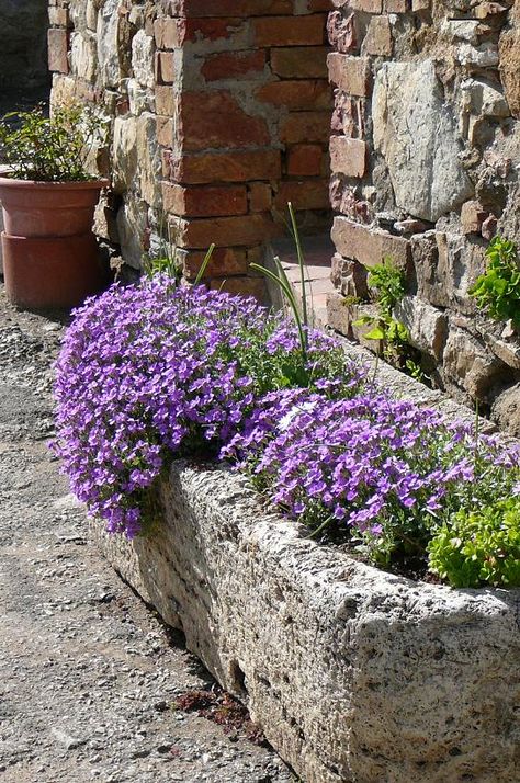 Shabby soul: A more simple authentic life Stone Planters Ideas, Stone Trough Planter Ideas, Stone Planter Ideas, Stone Trough, Decorative Rocks, Stone Planter, Trough Planter, Stone Landscaping, Plastic Planter