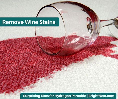 Red Wine Stain Removal, Wine Stain Remover, Stain Removal Guide, Fluffy Carpet, Red Wine Stains, Cleaning Quotes, Clean Car Carpet, Cleaning Diy, Dry Carpet Cleaning