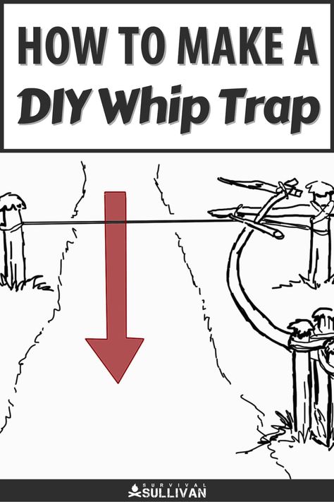 Whip traps are easy to craft from natural or scavenged materials, and capable of bringing down big game. Learn to make one here. #whiptrap #traps #survival How To Make Traps, Booby Traps, Off Grid Survival, Bushcraft Skills, Survival Life Hacks, Survival Techniques, Prepper Survival, Survival Life, Wilderness Survival