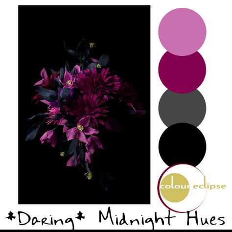 black and magenta color palette Magenta Color Palette, Color Palette Purple, Chartreuse Color, Bedroom Colour Palette, Black Color Palette, Purple Color Palettes, Hex Color Palette, Paint Color Inspiration, Living Room Decor Inspiration