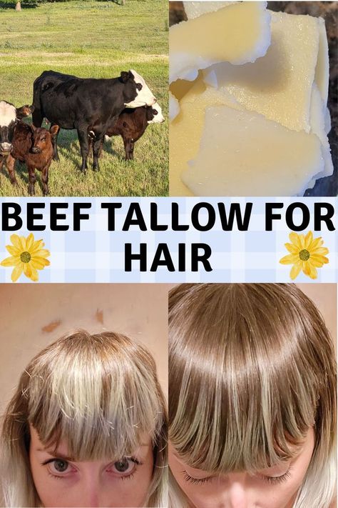 Use Beef Tallow On Dry Hair Tallow Benefits, Beef Tallow, Diy Hair Care, Dull Hair, Frizzy Hair, Diy Skin, Diy Skin Care, Eco Friendly Fashion, Look Younger