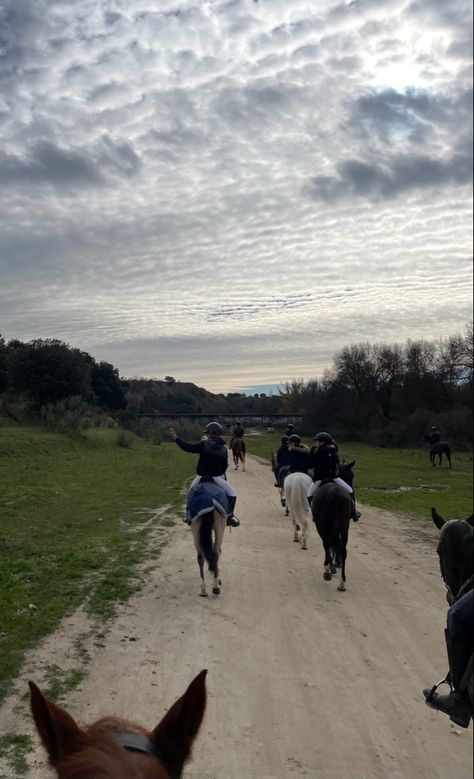 Horse riding. Countryside. Old  horses money. Aesthetic. Group hack. Horse Hacking, Equestrian Friends, Riding School, Equestrian Aesthetic, Horse Camp, Scout Camping, Horses Equestrian, Horse Equestrian, Equestrian Life