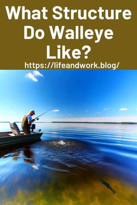 What Structure Do Walleye Like? Walleye Rigs, Walleye Fishing Tips, Fishing For Beginners, Late Evening, Fly Fishing Tips, Walleye Fishing, Small Lake, Fishing Adventure, Fishing Tips