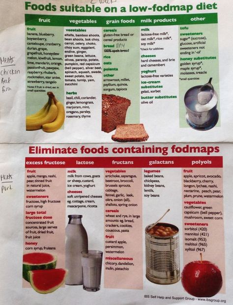 Fructose Intolerance Diet, Fructose Intolerance, Fructose Malabsorption, Fructose Free, Fruit Cereal, Lactose Free Milk, Lactose Free Diet, Coconut Health Benefits, Low Fodmap Diet