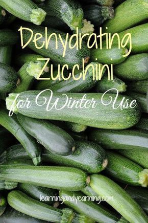 Dehydrating Zucchini, Dehydrating Food Storage, Food Dehydration, Dehydrated Vegetables, Canning Food Preservation, Dehydrated Fruit, Soups Stews, Home Canning, Dehydrated Food