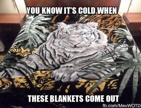 Mexican Blanket Tiger, Mexican Life, Tiger Blanket, Y2k Nostalgia, Funny Ecards, Heavy Blanket, Mexican Blanket, Animal Blanket, Mexican American