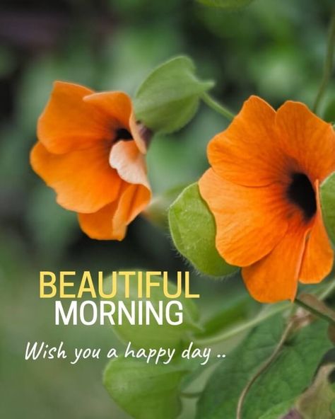 Good Morning India, Beautiful Good Morning Images, Grand Rising, Latest Good Morning Images, Daily Wishes, Whatsapp Pictures, Good Morning Massage, Free Good Morning Images, Fresh Morning