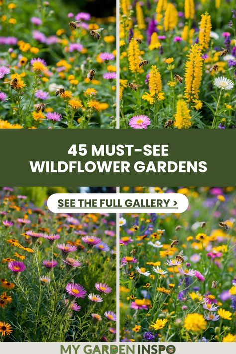 Explore 45 amazing gardens that burst with colorful wild flowers! This pin features four stunning images showcasing bee balm, Canadian Goldenrod, wild asters, and butterflies in vibrant outdoor settings. Canadian Goldenrod, Planting Wild Flowers, Bee Garden Design, Wildflowers Aesthetic, Milkweed Flower, Wildflower Gardens, California Lilac, Wild Geranium, Bee Balm