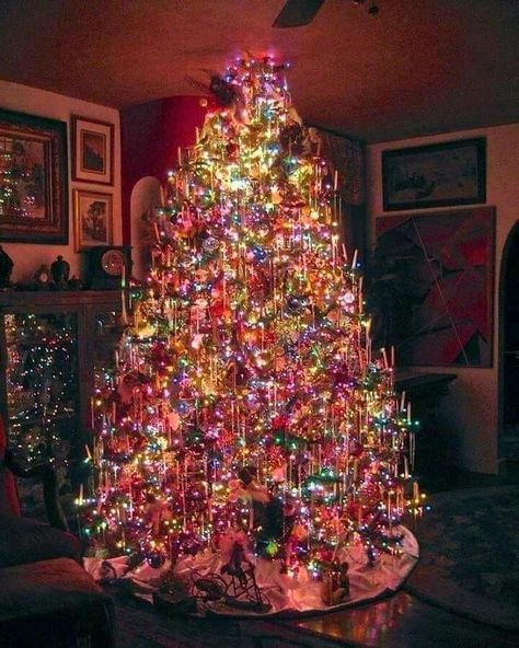 Amazing Christmas Trees, Antique Christmas Tree, Old Christmas, Christmas Wonderland, Christmas Decorations For The Home, Old Fashioned Christmas, Colorful Christmas Tree, Christmas Past, Christmas Scenes