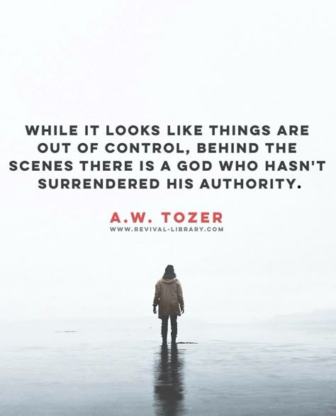 God Is In Control Quotes, In Control Quotes, The Loss Of A Friend, Aw Tozer Quotes, Loss Of A Friend, A Man Of God, Control Quotes, God Is In Control, What I Like About You