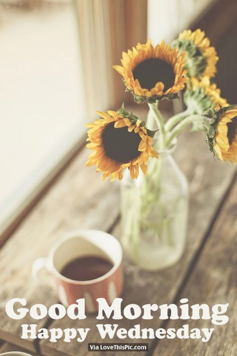 Good morning my beautiful girls. Happy Wednesday :) Hello August, Days Like This, Life Thoughts, A Cup Of Coffee, Praise God, Spiritual Inspiration, Mellow Yellow, Simple Pleasures, Flower Field