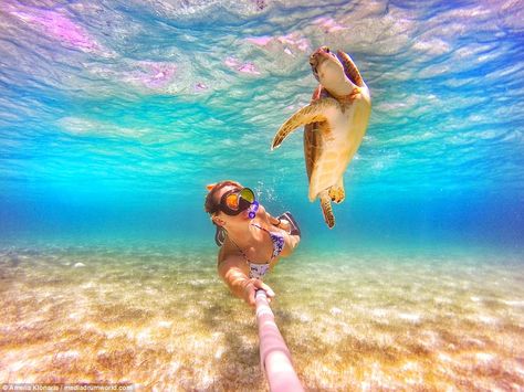 'I am the happiest I've ever been,' Amelia says of her incredible lifestyle Gopro Pictures, Gopro Photos, Happy Turtle, Gopro Photography, Snorkels, Water Adventure, A Turtle, Island Travel, Great Barrier Reef