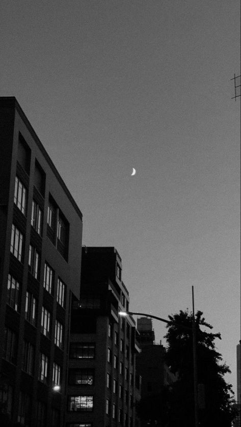 Street Astethic Night, Achromatic Aesthetic, Street Astethic, Gray Vibes Aesthetic, Gray Hour, Dark Naturalism Aesthetic, Locker Wallpaper, Black And White Building, Dark Naturalism