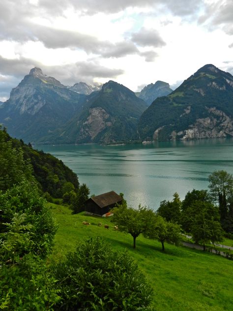 Lake Lucerne - pic was taken close to Brunnen, Switzerland. I know exactly were that is! I've been there!!!!!!!! Switzerland Wallpaper, Switzerland Photography, Lake Lucerne, World Most Beautiful Place, Lucerne Switzerland, Interlaken, Places In Europe, Places In The World, Beautiful Places On Earth