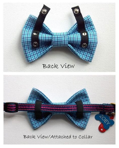 Red Ryder, Puppy Ideas, Dog Bow Tie, Dog Clothes Patterns, Dog Crafts, Dog Items, Diy Dog, Cat Collar, Dog Sweaters