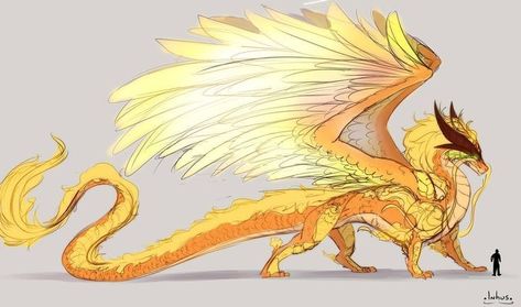 Dragon Phoenix Hybrid, Sun Character Design Concept Art, Sun Dragon Art, Bird Dragon Hybrid, Fantasy Bird Creature, Feathered Dragon Art, Sunfire Dragon, Dragon Design Concept, Golden Dragon Art