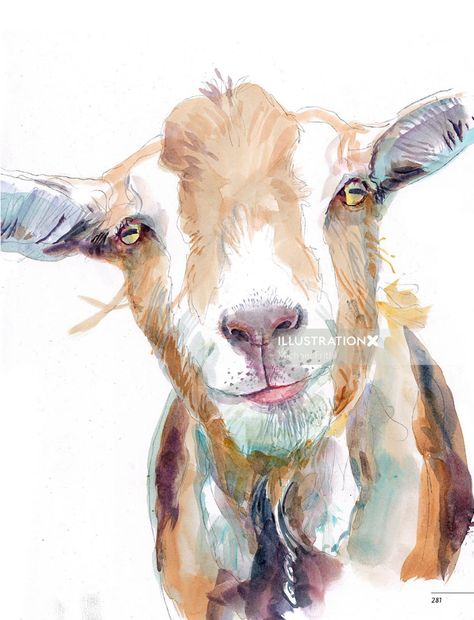 Watercolour illustration of goat Farm Animal Nursery Decor, Goat Paintings, Goat Art, Watercolor Art Landscape, Watercolor Horse, Drawing Faces, A Goat, Art Simple, Arte Animal